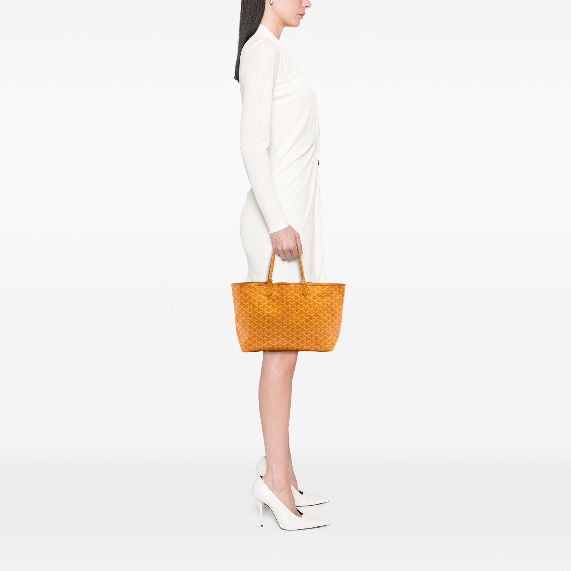 Goyardine Saint Louis PM - Image 8