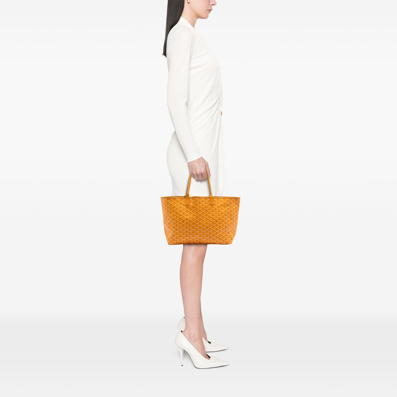 Goyardine Saint Louis PM - Image 8