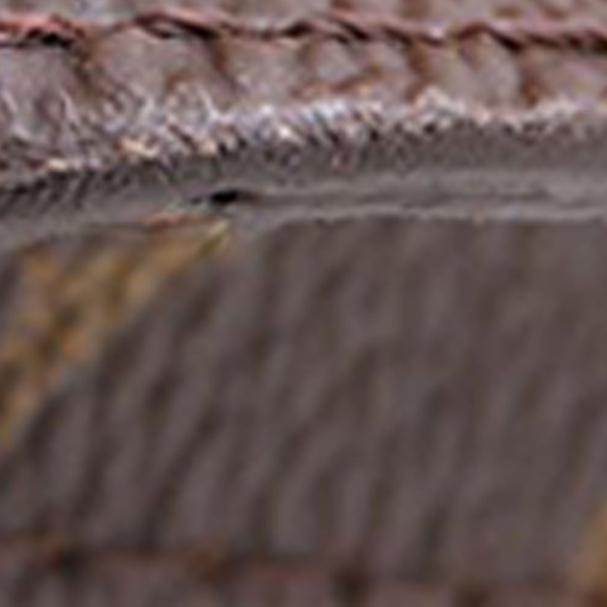 Monogram Bucket GM - Image 12