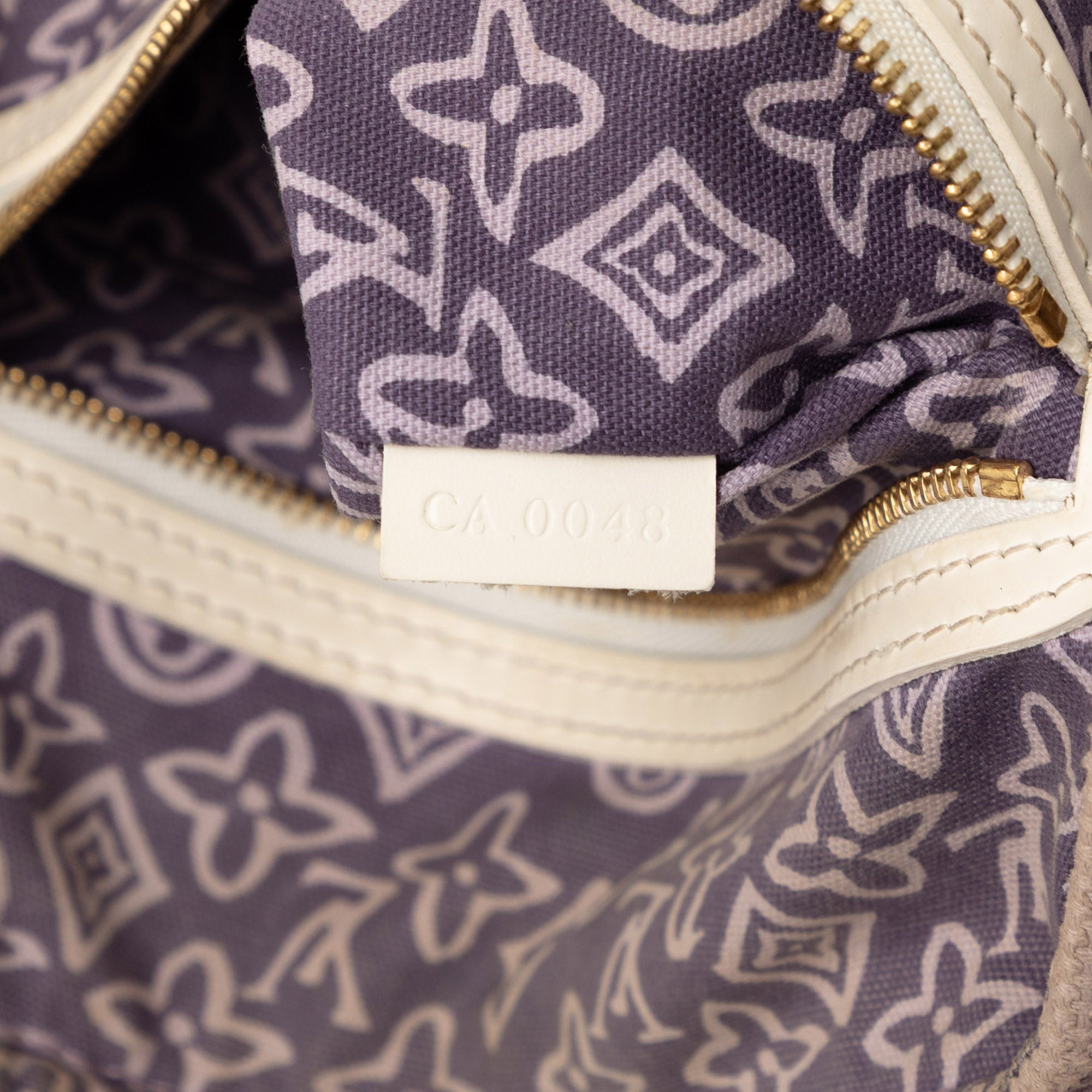 Monogram Tahitienne Cabas PM - Image 6
