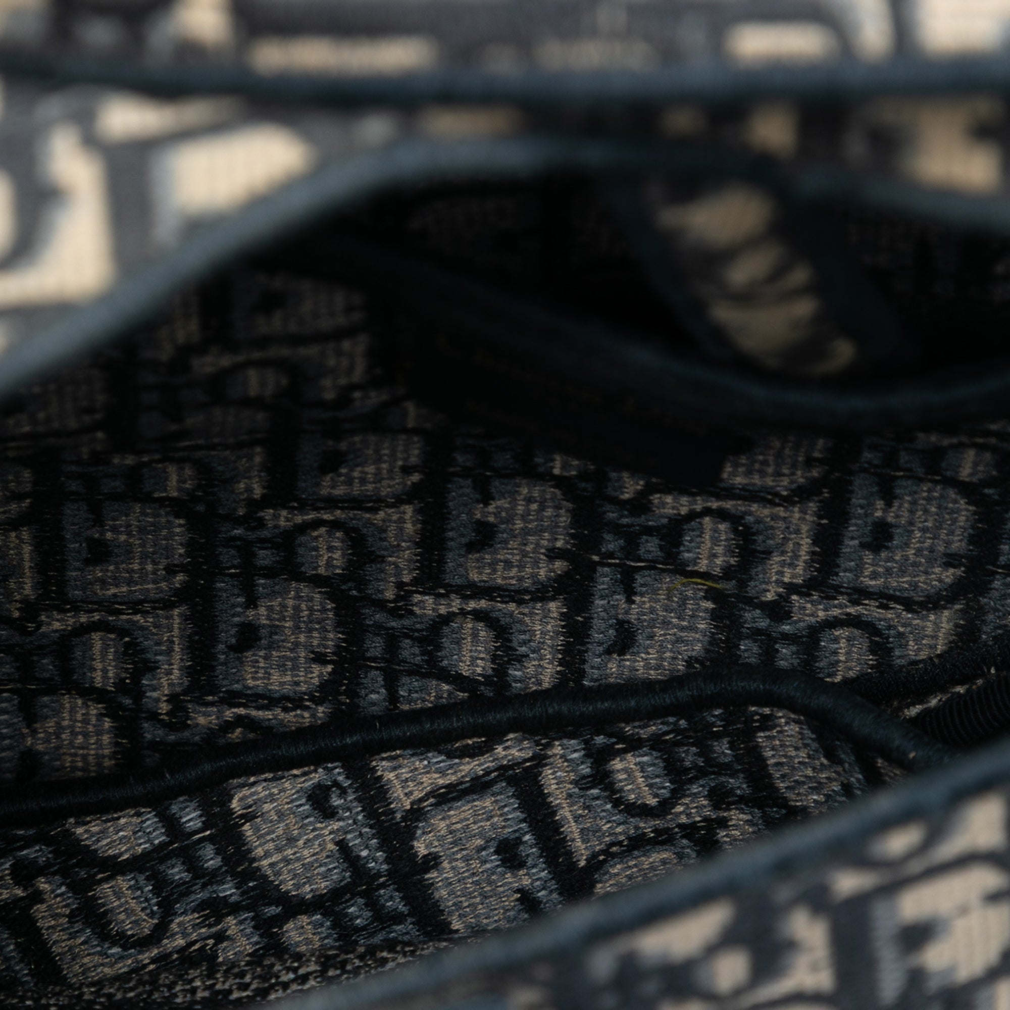 Oblique Embroidered Canvas Saddle Bag - Image 4