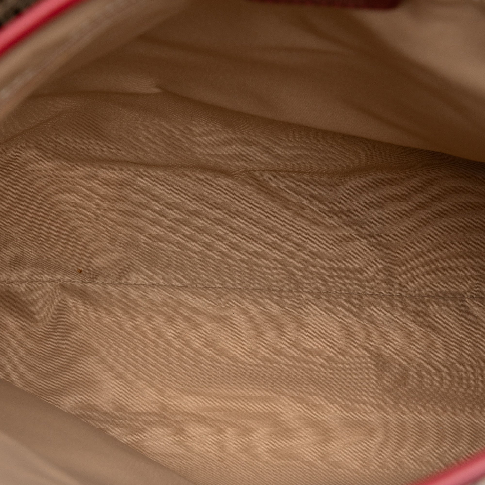 Diorissimo Trotter Canvas Street Chic Crossbody - Image 4
