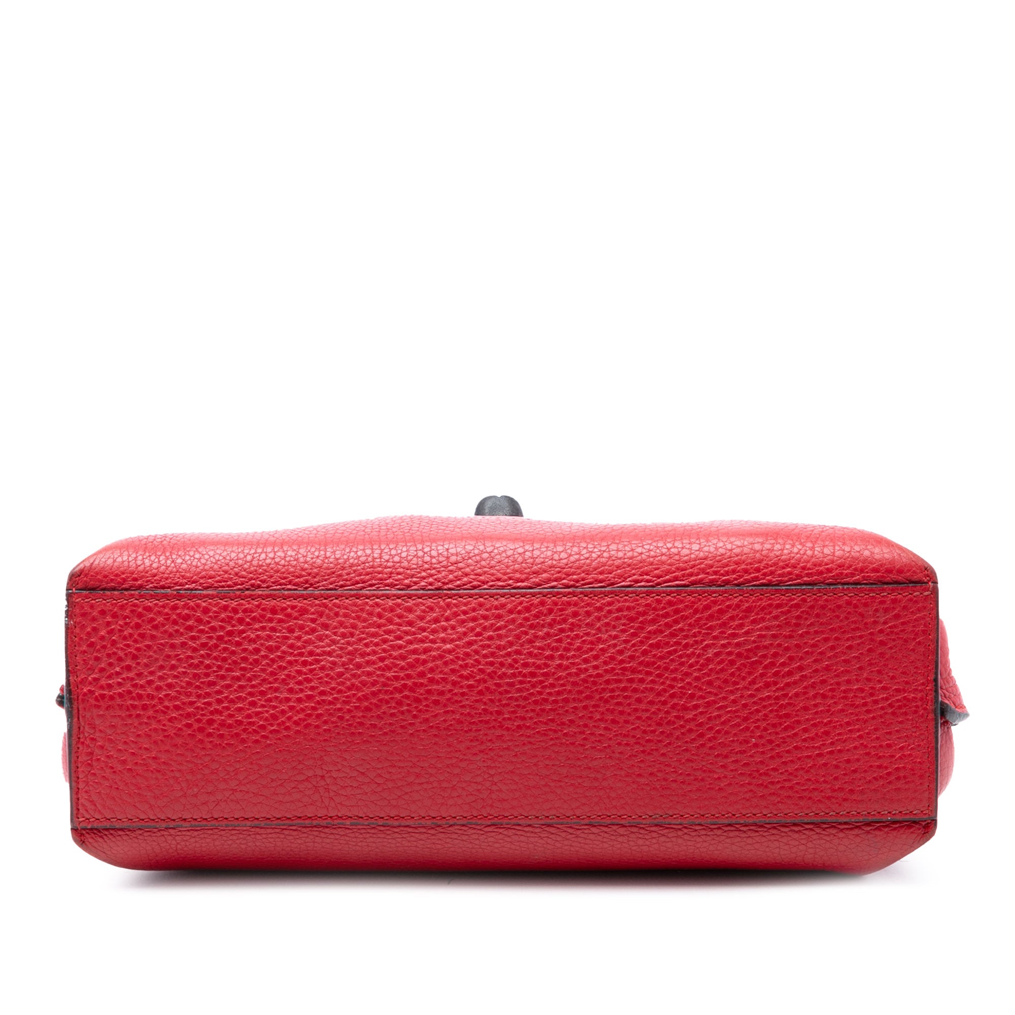 Small Calfskin Bamboo Daily Satchel - Image 3