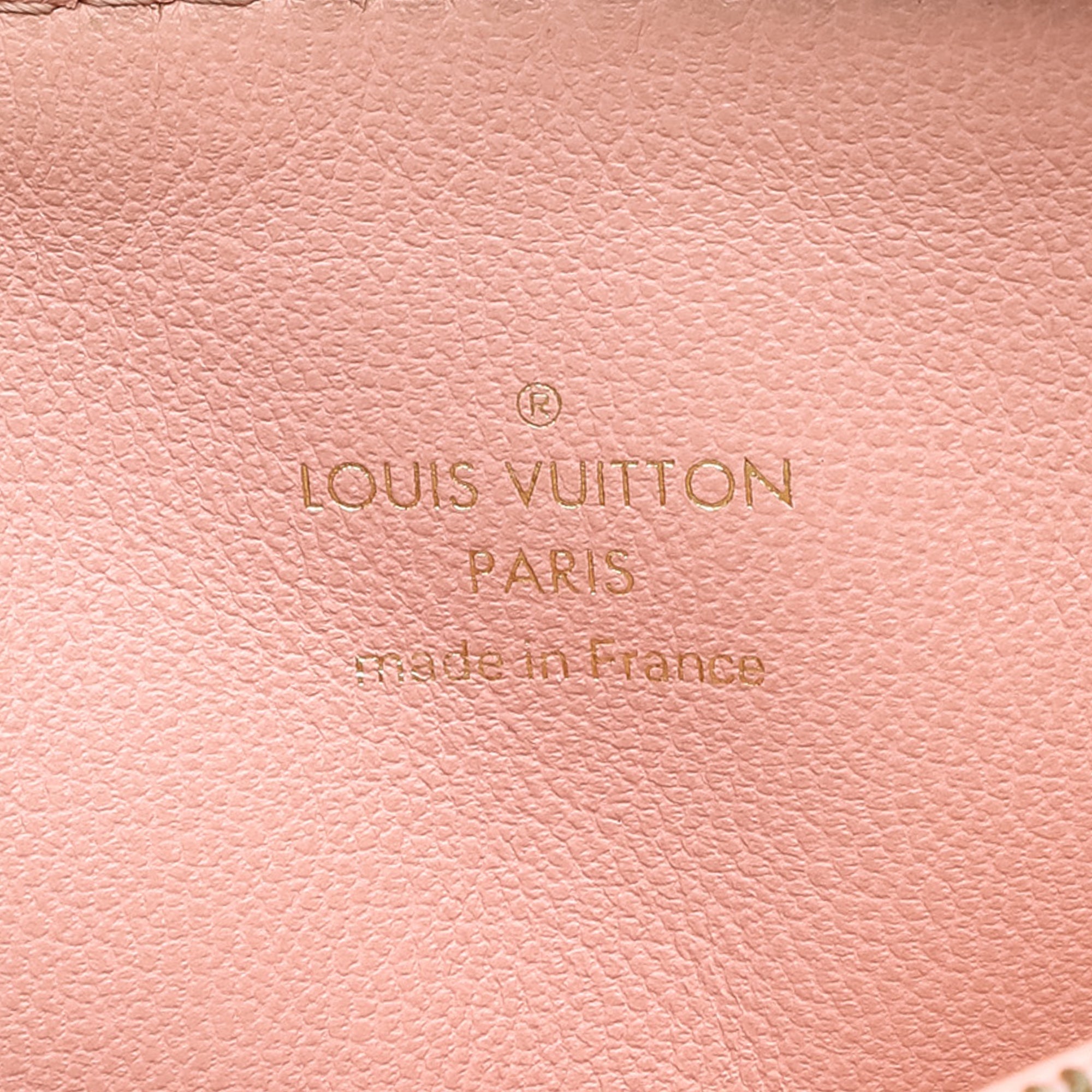Tricolor Monogram Embossed Lambskin Coussin PM - Image 5