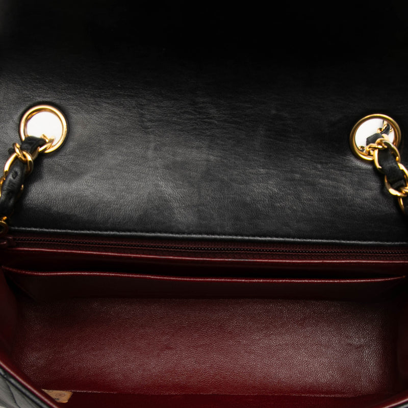 Small Lambskin Diana Flap - Image 4