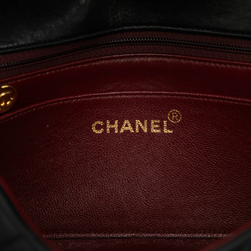 Small Lambskin Diana Flap - Image 5