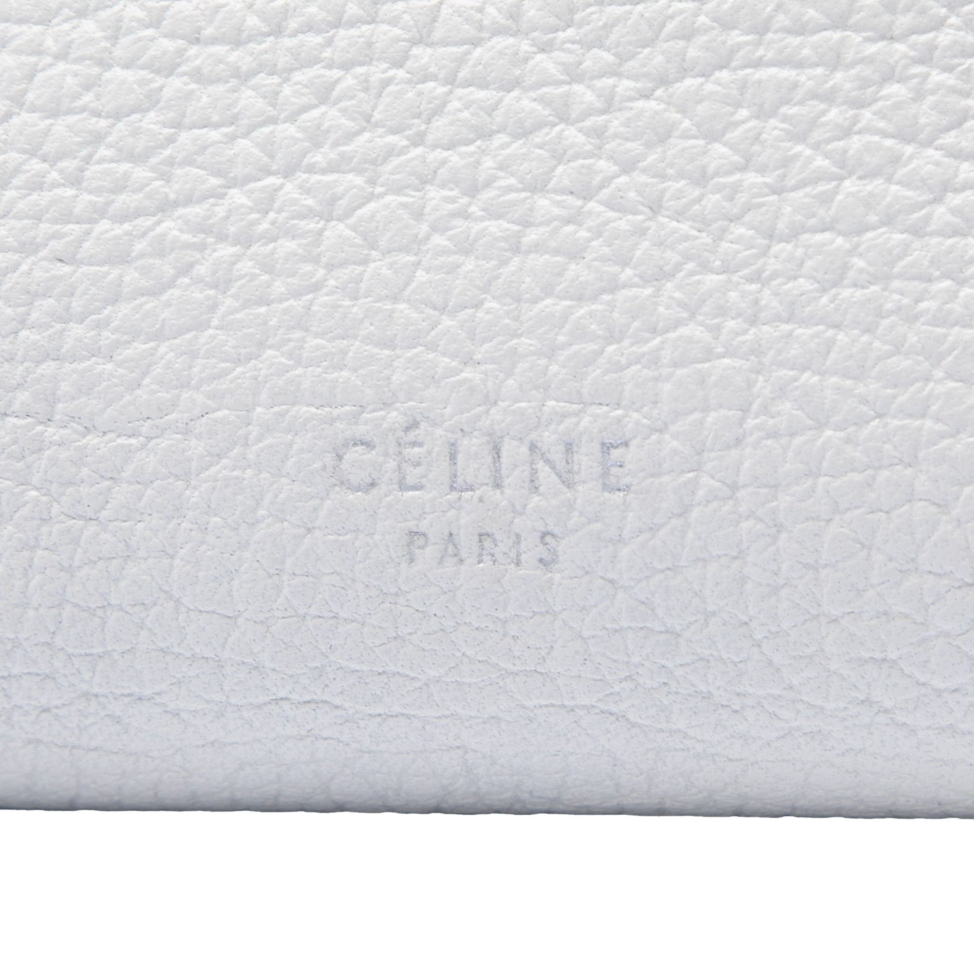 Small Supple Grained Calfskin Big Bag - Image 5