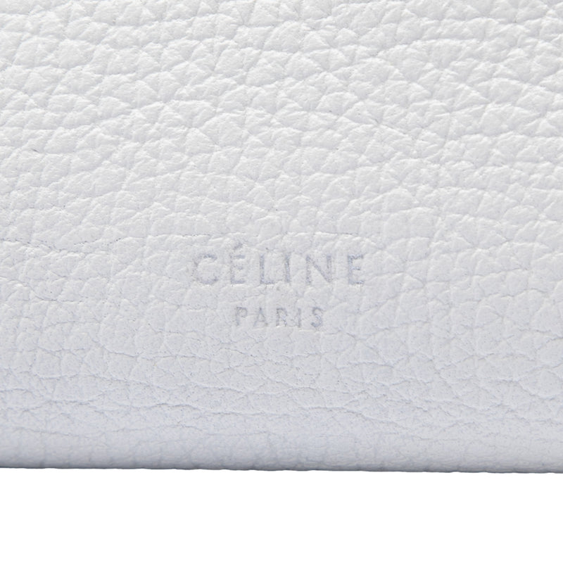 Small Supple Grained Calfskin Big Bag - Image 5