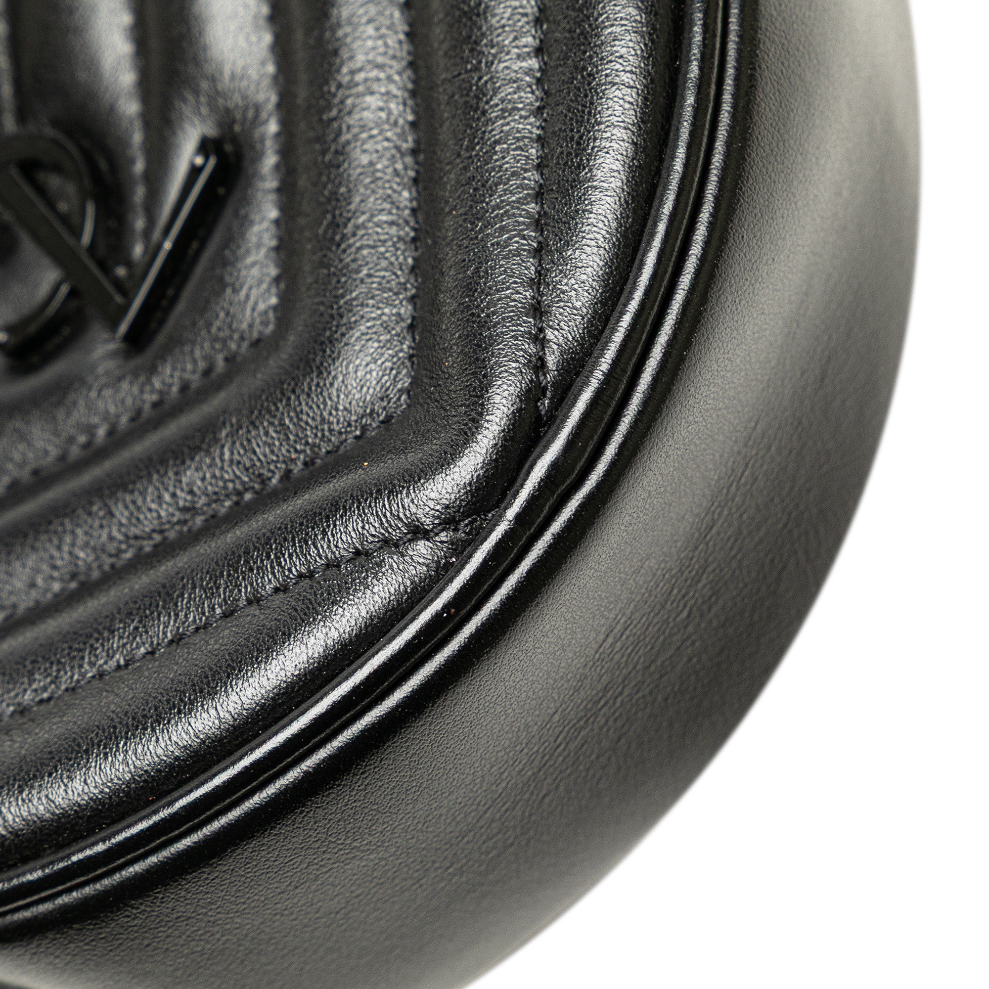 Chevron Calfskin Round Vinyle Camera Bag - Image 10