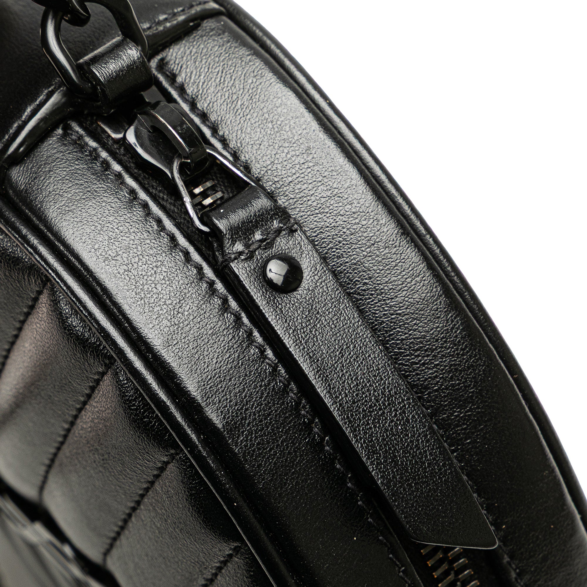 Chevron Calfskin Round Vinyle Camera Bag - Image 8