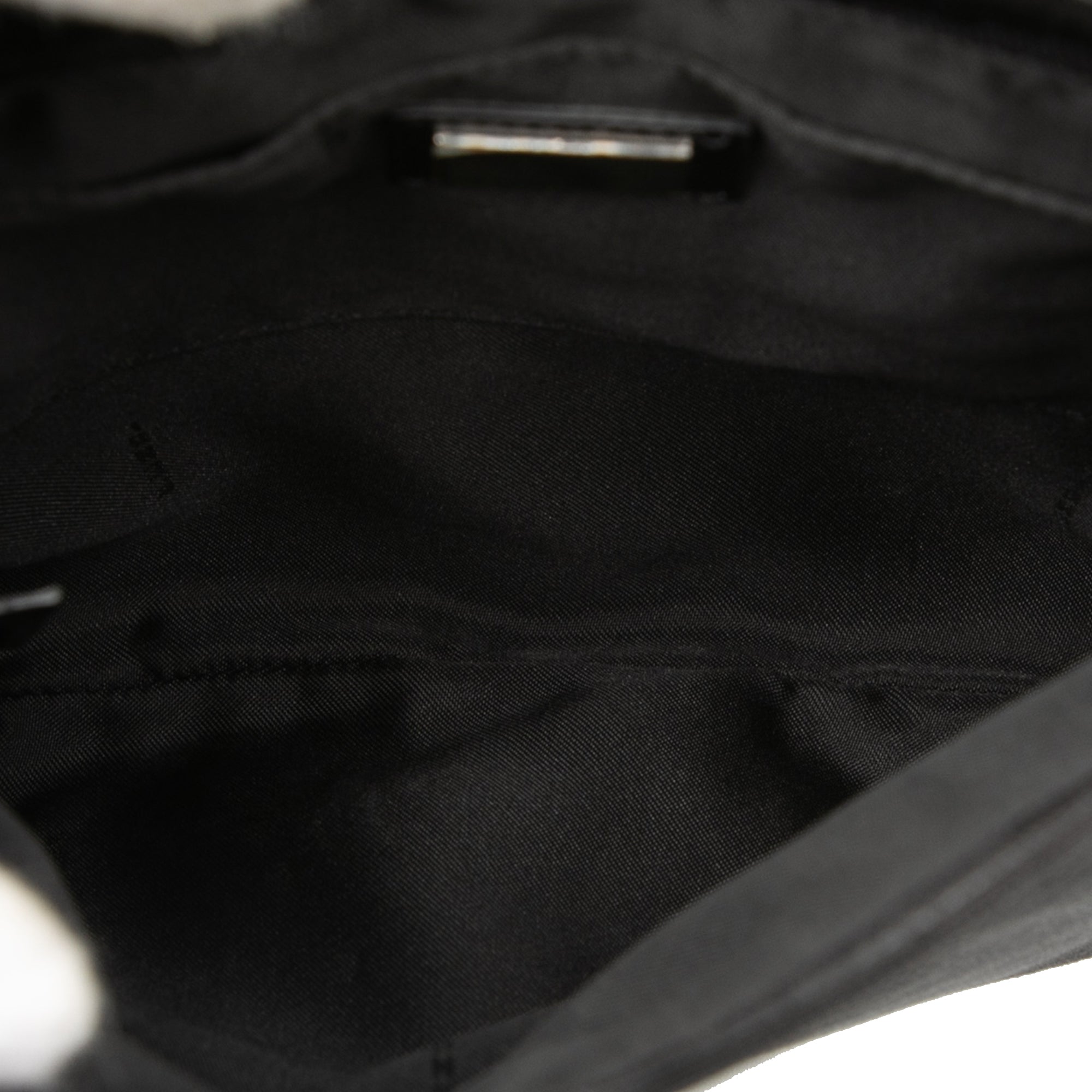 Zebra Printed Canvas Crossbody - Image 4