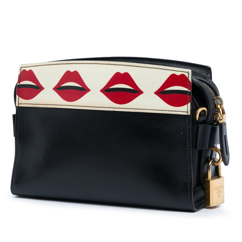 City Calf and Saffiano Lip Print Esplanade Crossbody - Image 2