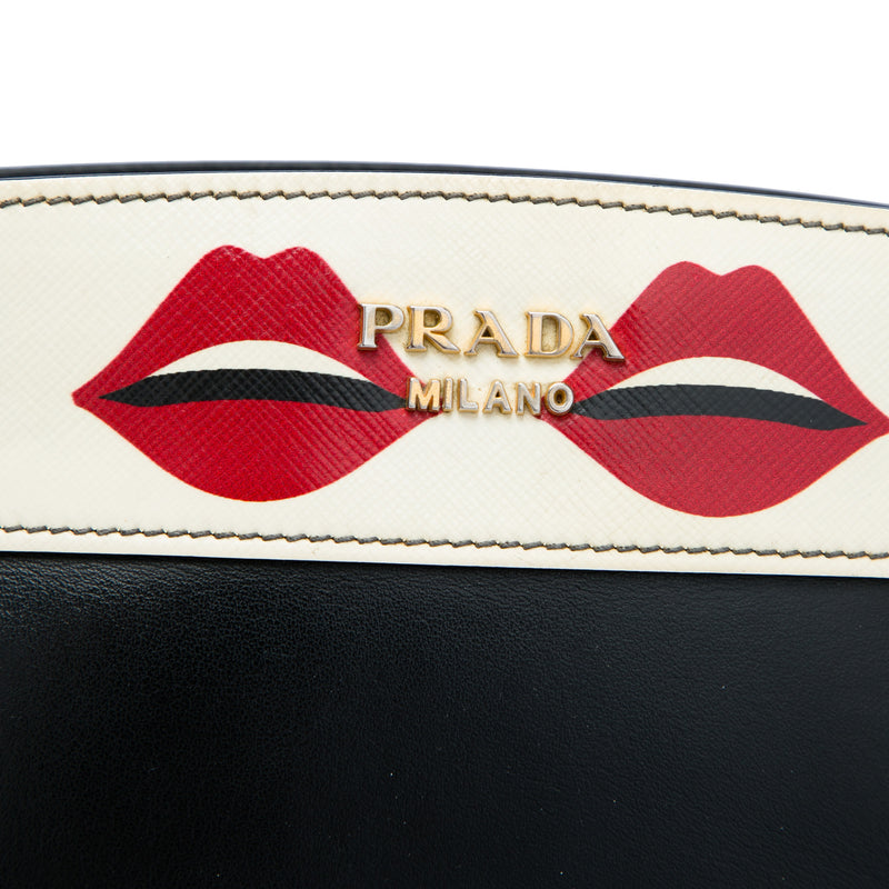 City Calf and Saffiano Lip Print Esplanade Crossbody - Image 5