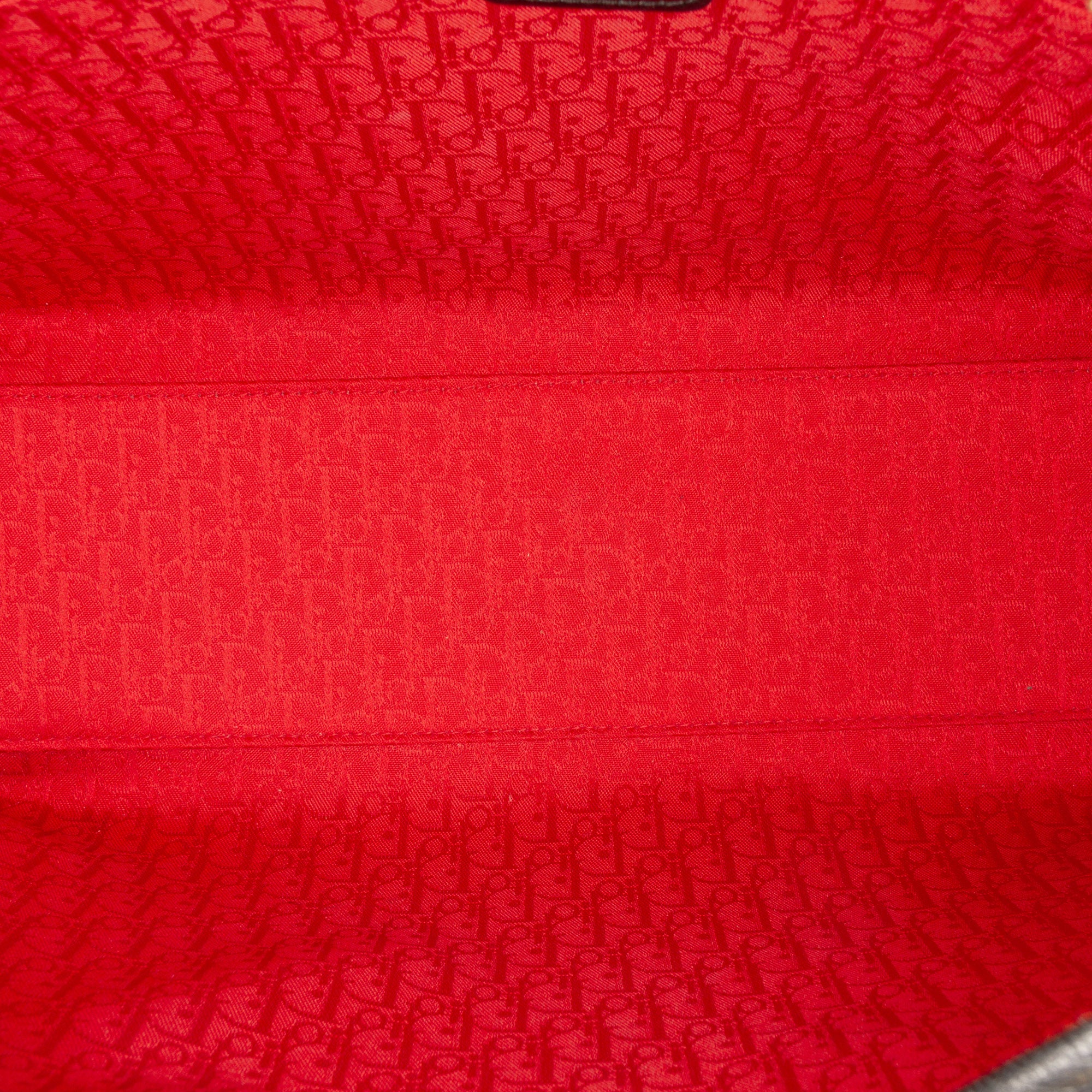 Large Lambskin Cannage Lady Dior - Image 4