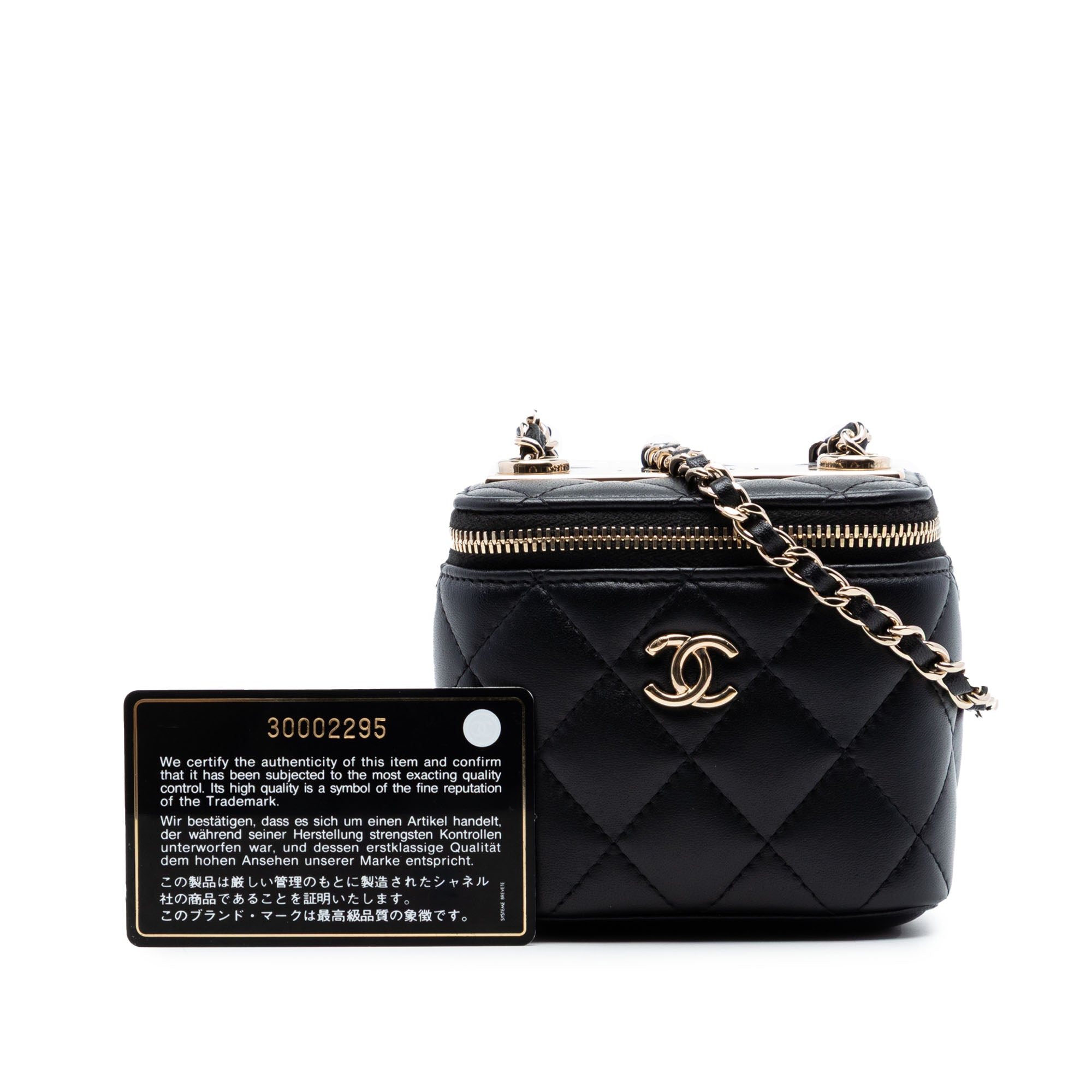 Mini Quilted Lambskin Trendy CC Vanity Case - Image 7