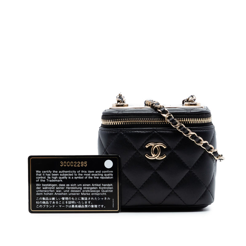 Mini Quilted Lambskin Trendy CC Vanity Case - Image 7