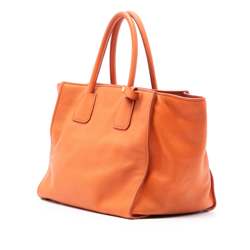 Vitello Phenix Shopping Tote - Image 2