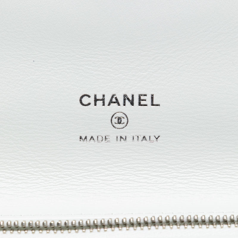 Iridescent Aged Calfskin 31 Clutch - Image 5