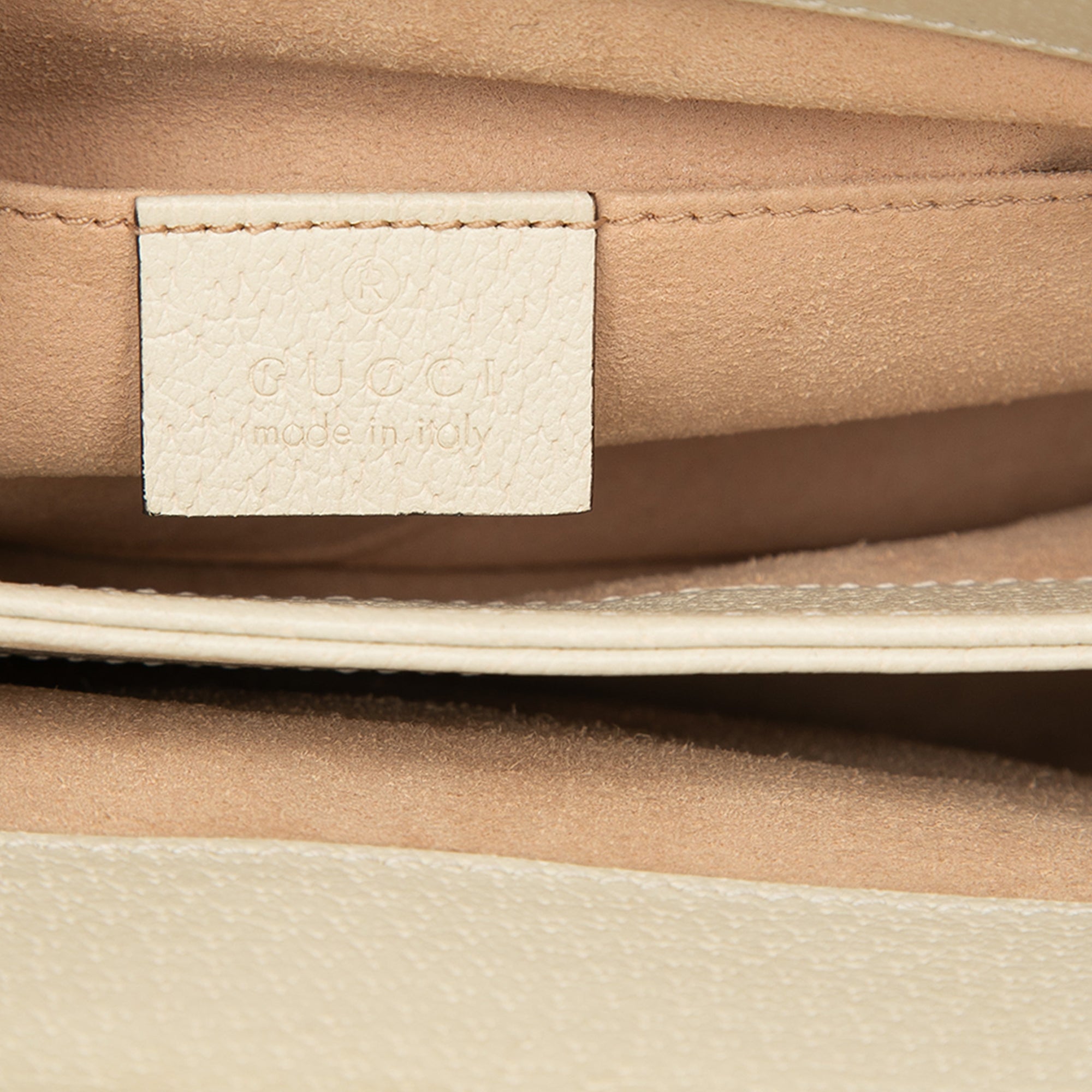 Small Calfskin Web Ophidia Chain Crossbody - Image 5