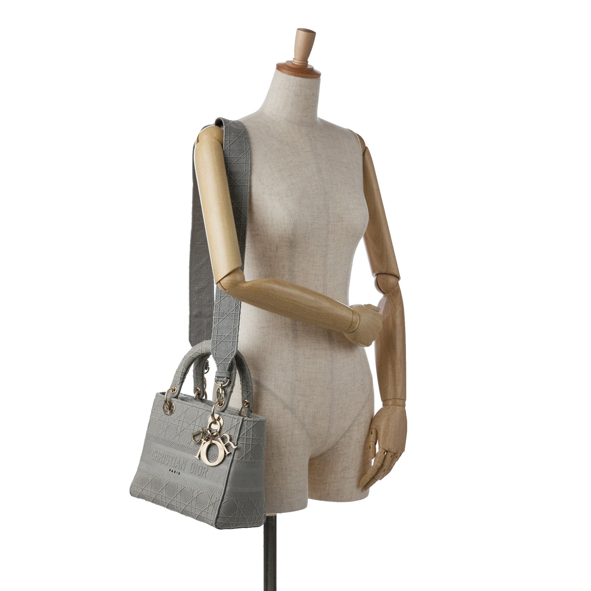 Medium Canvas Cannage Lady D Lite - Image 22
