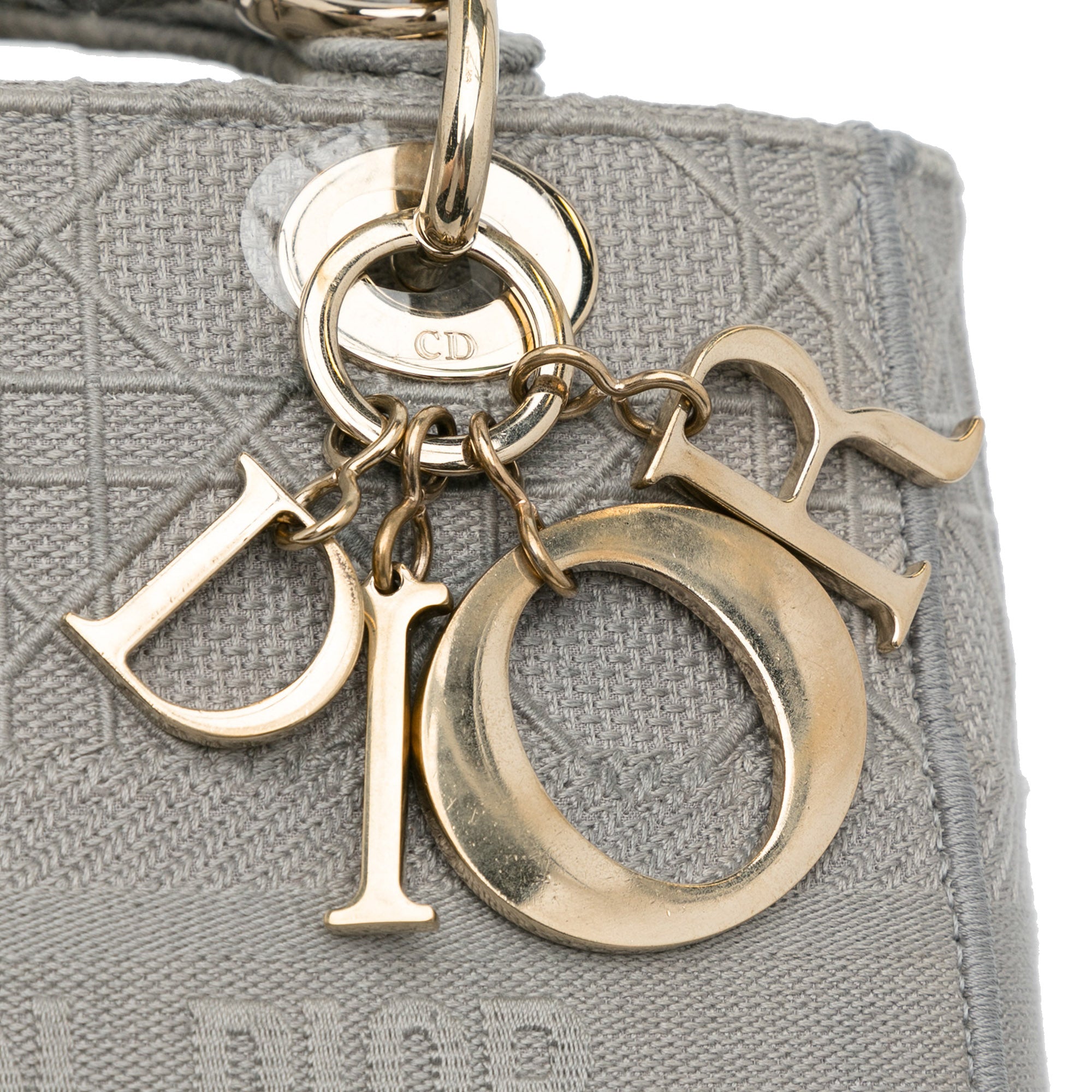 Medium Canvas Cannage Lady D Lite - Image 9