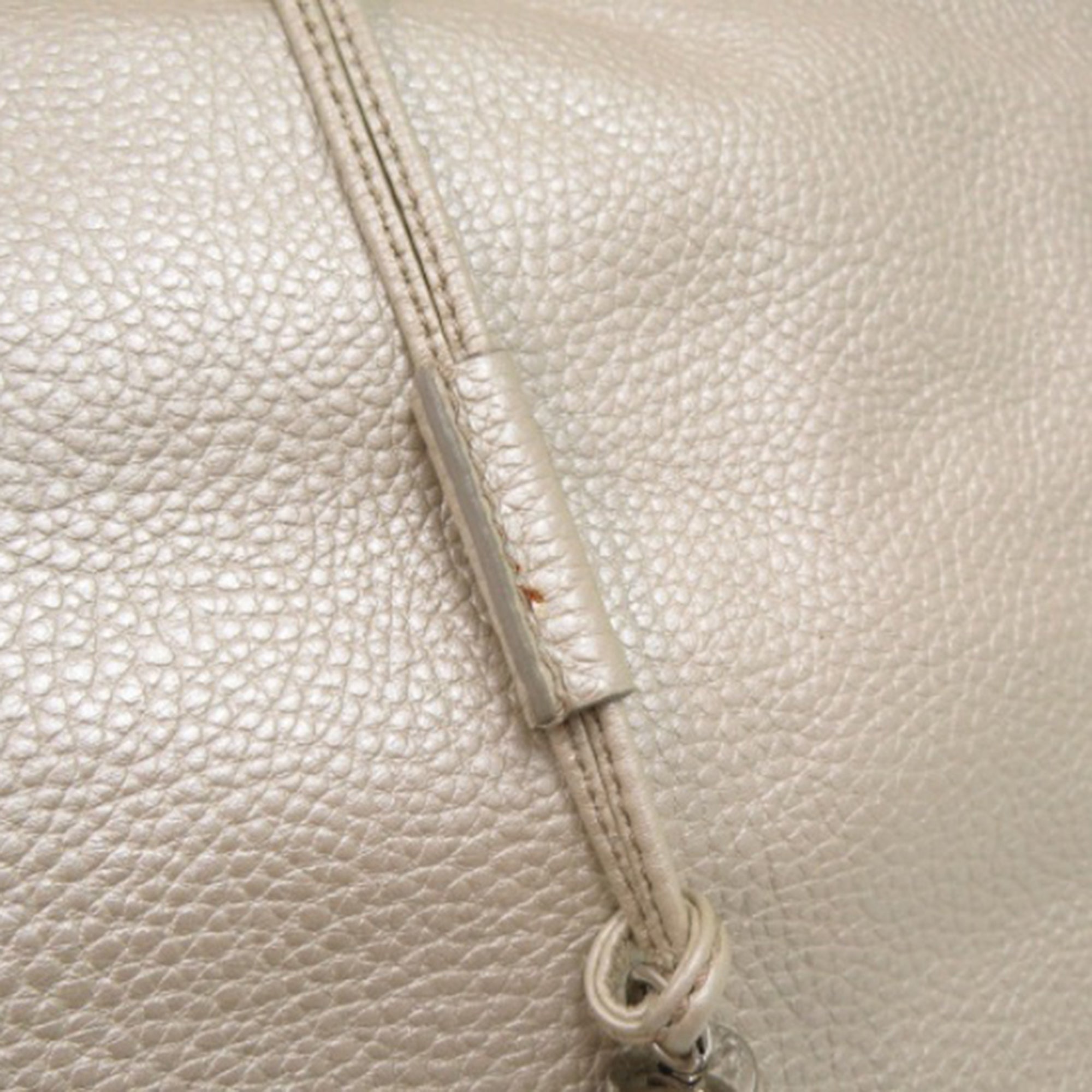 Grained Metallic Calfskin Bittersweet Hobo - Image 10