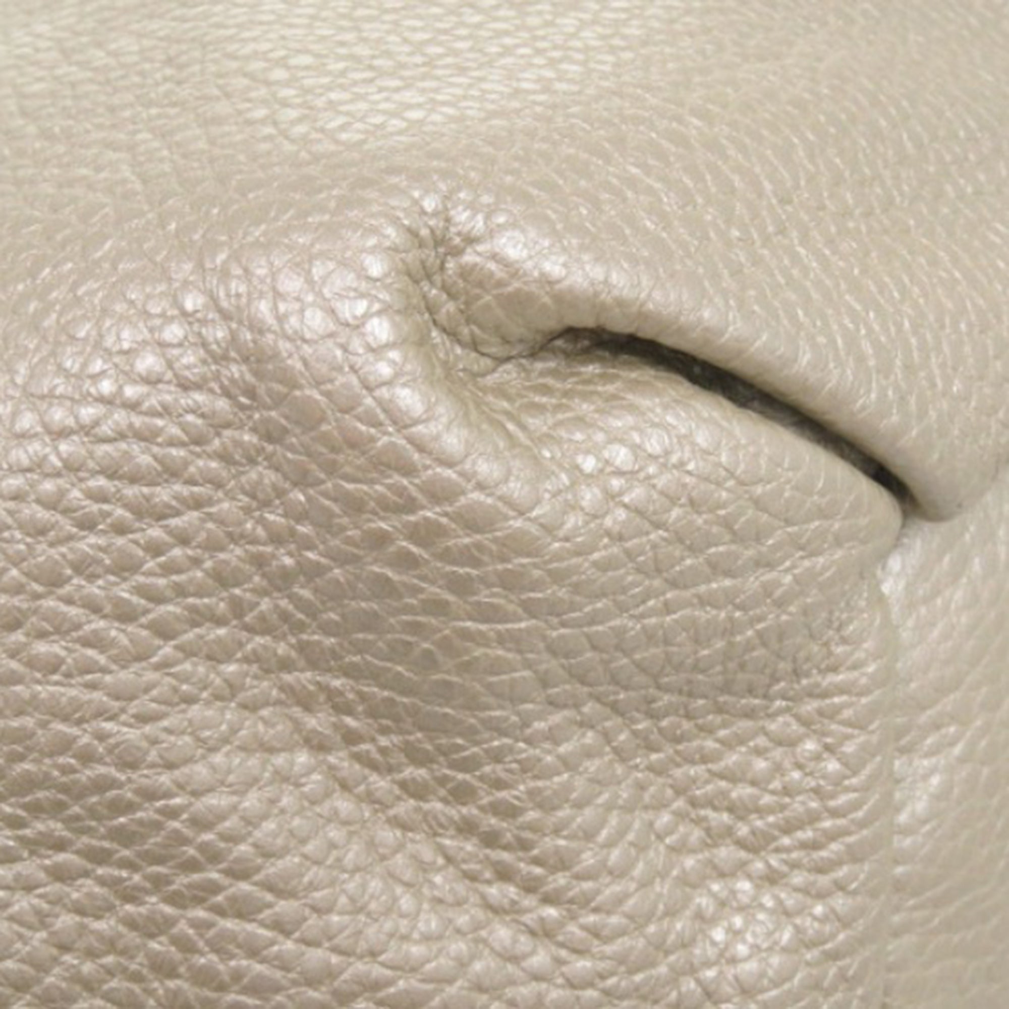 Grained Metallic Calfskin Bittersweet Hobo - Image 11
