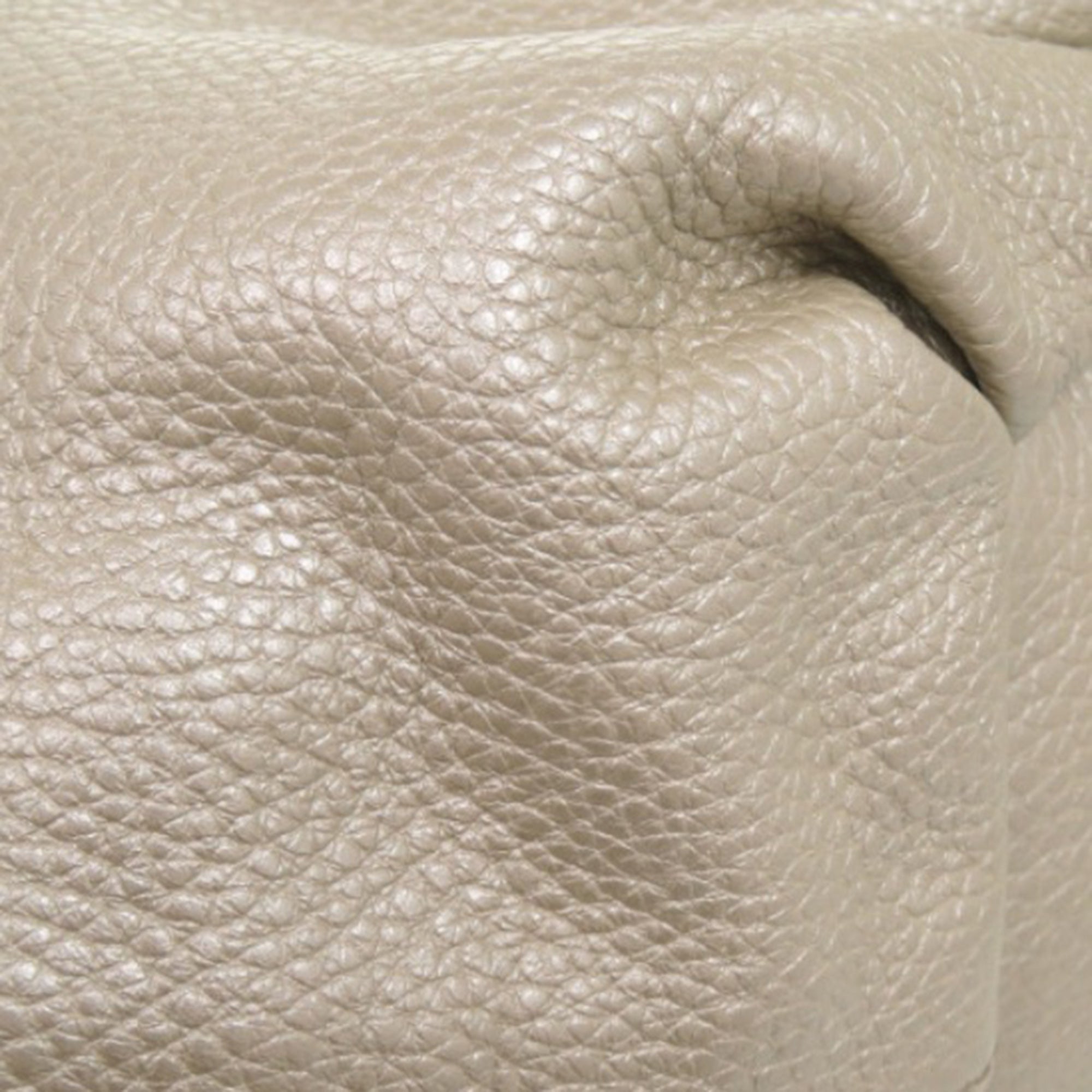 Grained Metallic Calfskin Bittersweet Hobo - Image 13