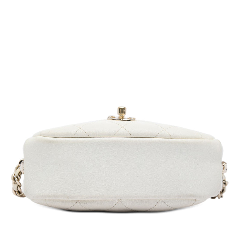 Small Quilted Goatskin Casual Trip Camera Bag - Image 3