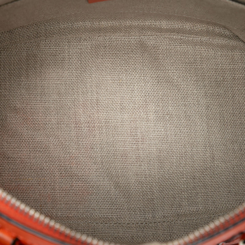 Mini Microguccissima Dome Satchel - Image 4
