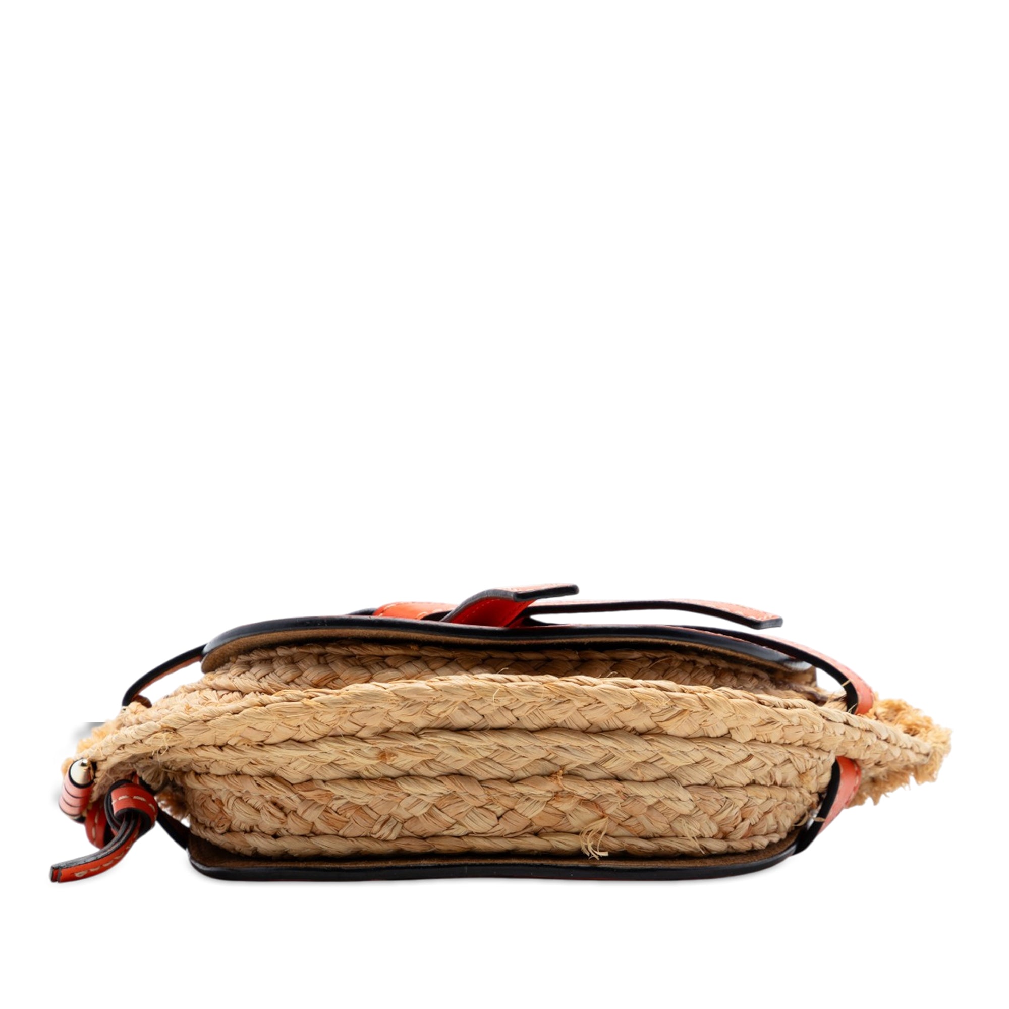 Mini Raffia Gate Crossbody - Image 3