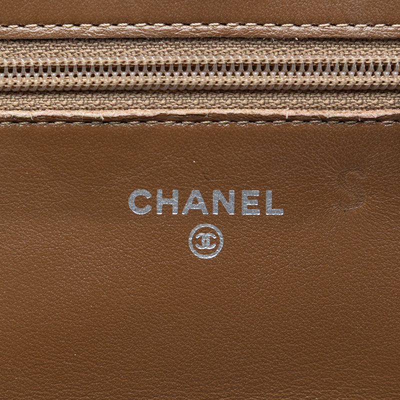 Quilted Metallic Aged Calfskin Reissue 2.55 Wallet on Chain - Image 5
