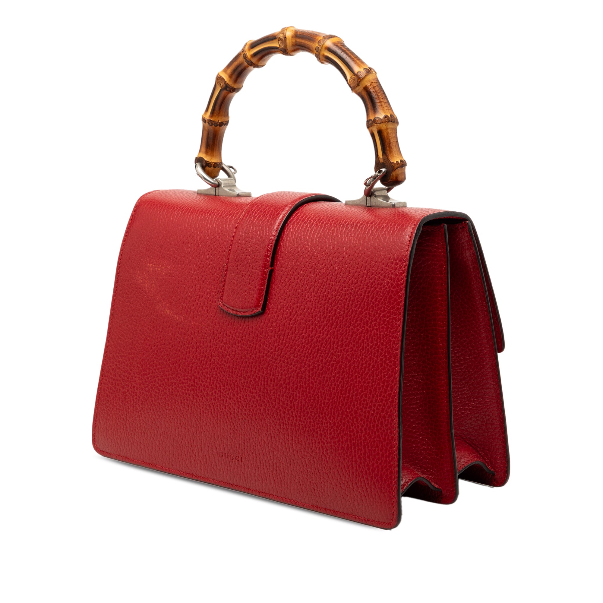 Medium Calfskin Bamboo Dionysus Web Satchel - Image 2
