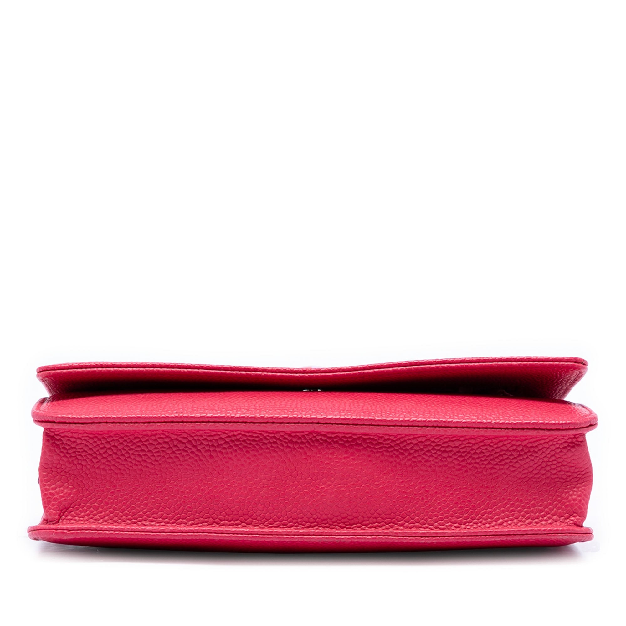 Caviar Bicolor CC Wallet On Chain - Image 3