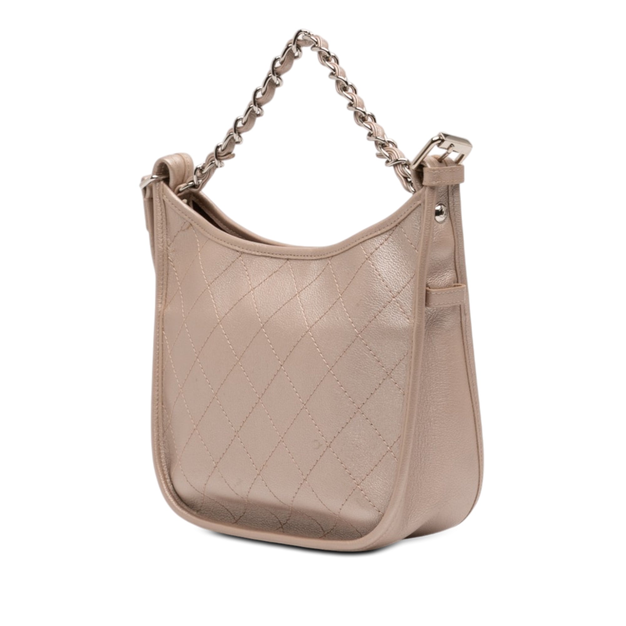Small Quilted Metallic Calfskin Jungle Stroll Hobo - Image 2