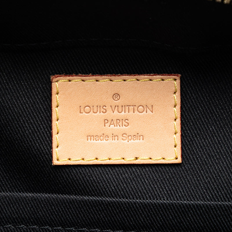 Monogram Vernis Santa Monica Camera Bag - Image 5