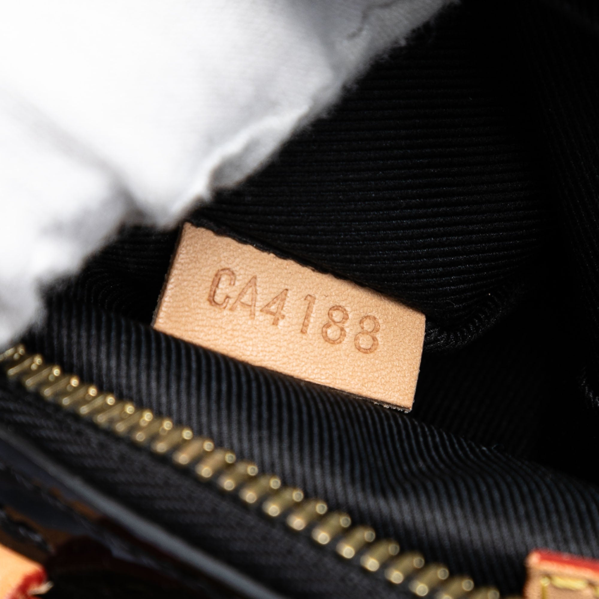 Monogram Vernis Santa Monica Camera Bag - Image 6
