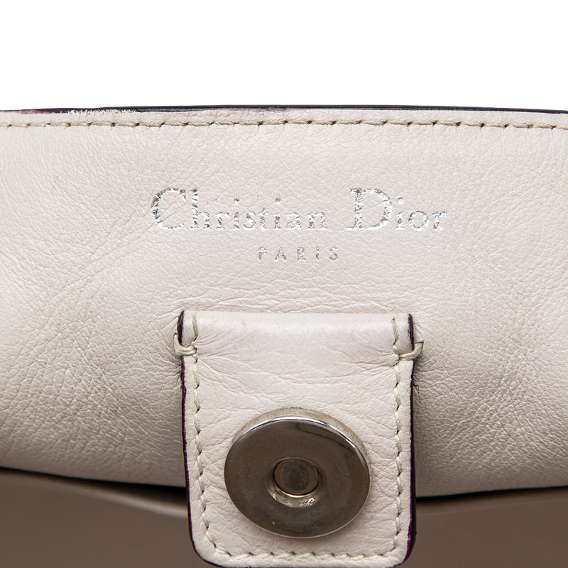 Medium Tricolor Calfskin Diorissimo Tote - Image 5