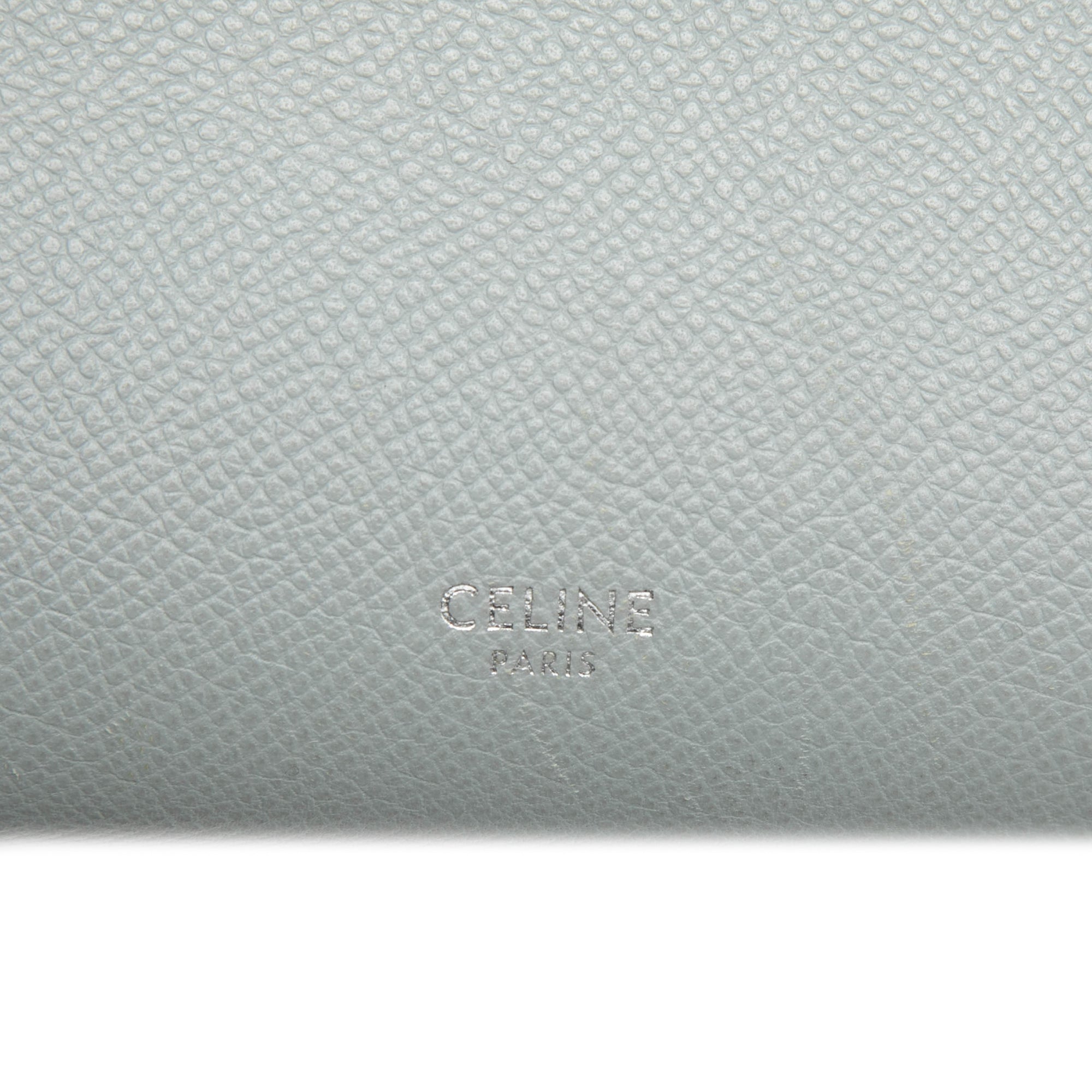 Micro Grained Calfskin Belt Bag - Image 5