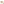         Medium Bicolor Saffiano Lux Promenade Satchel - Image 9