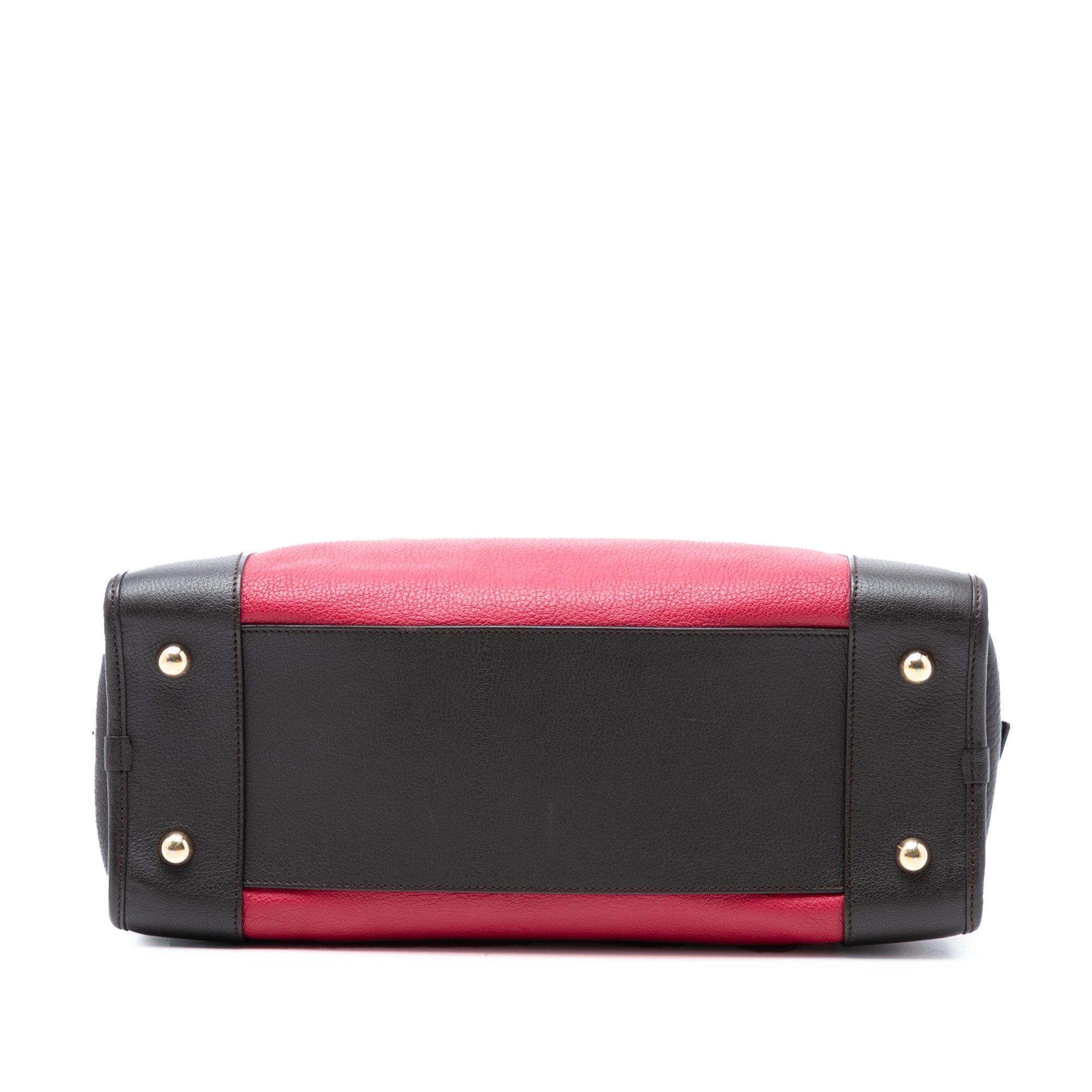Tricolor Leather Amazona 36 - Image 3