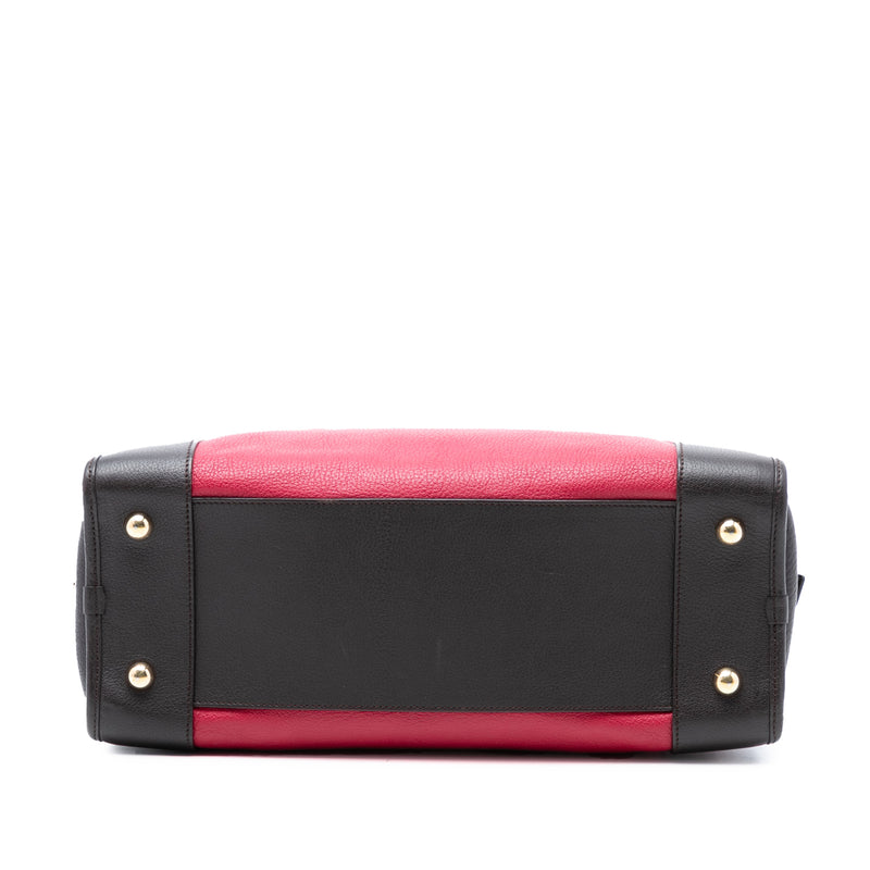 Tricolor Leather Amazona 36 - Image 3