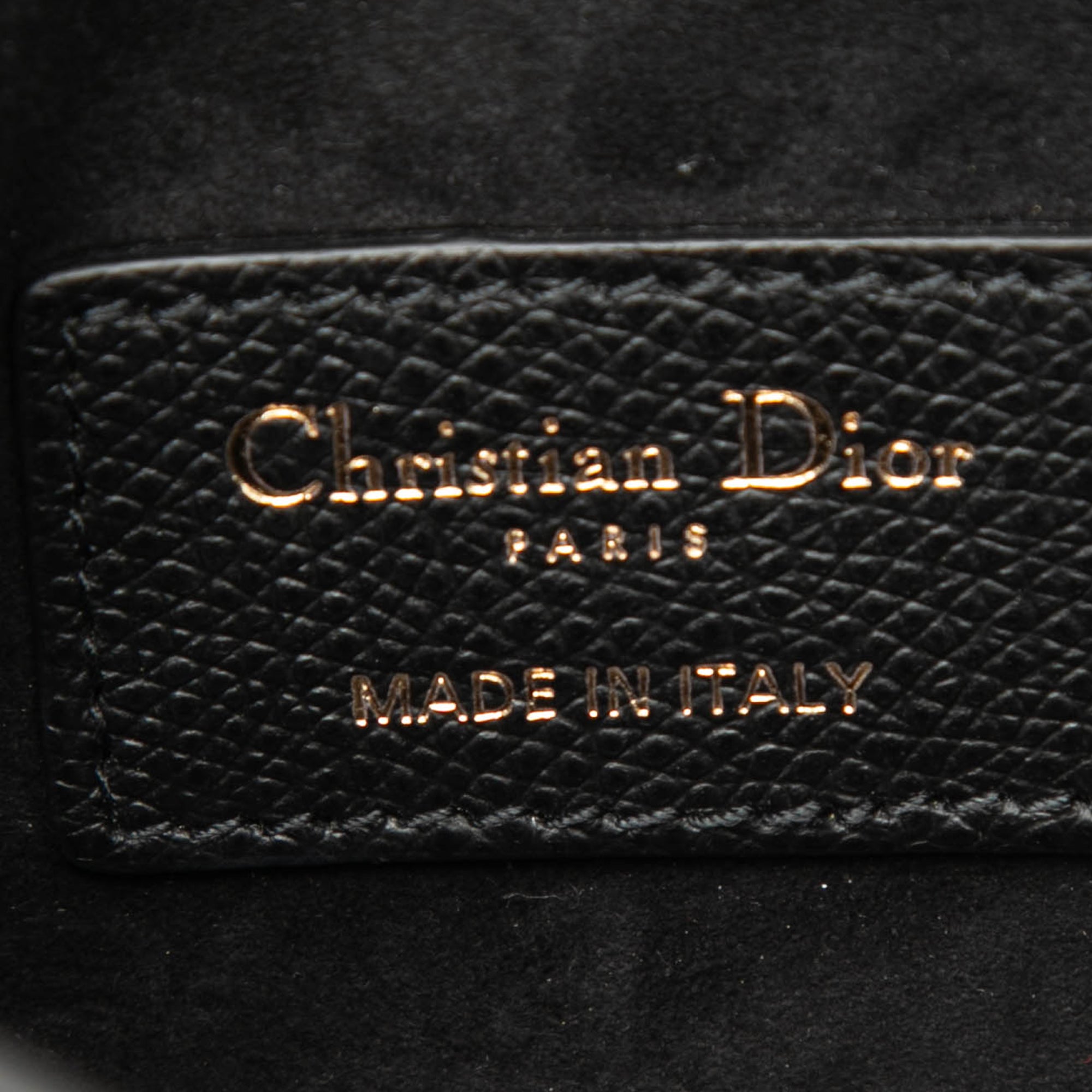 Grained Calfskin Saddle Belt Pouch - Image 5