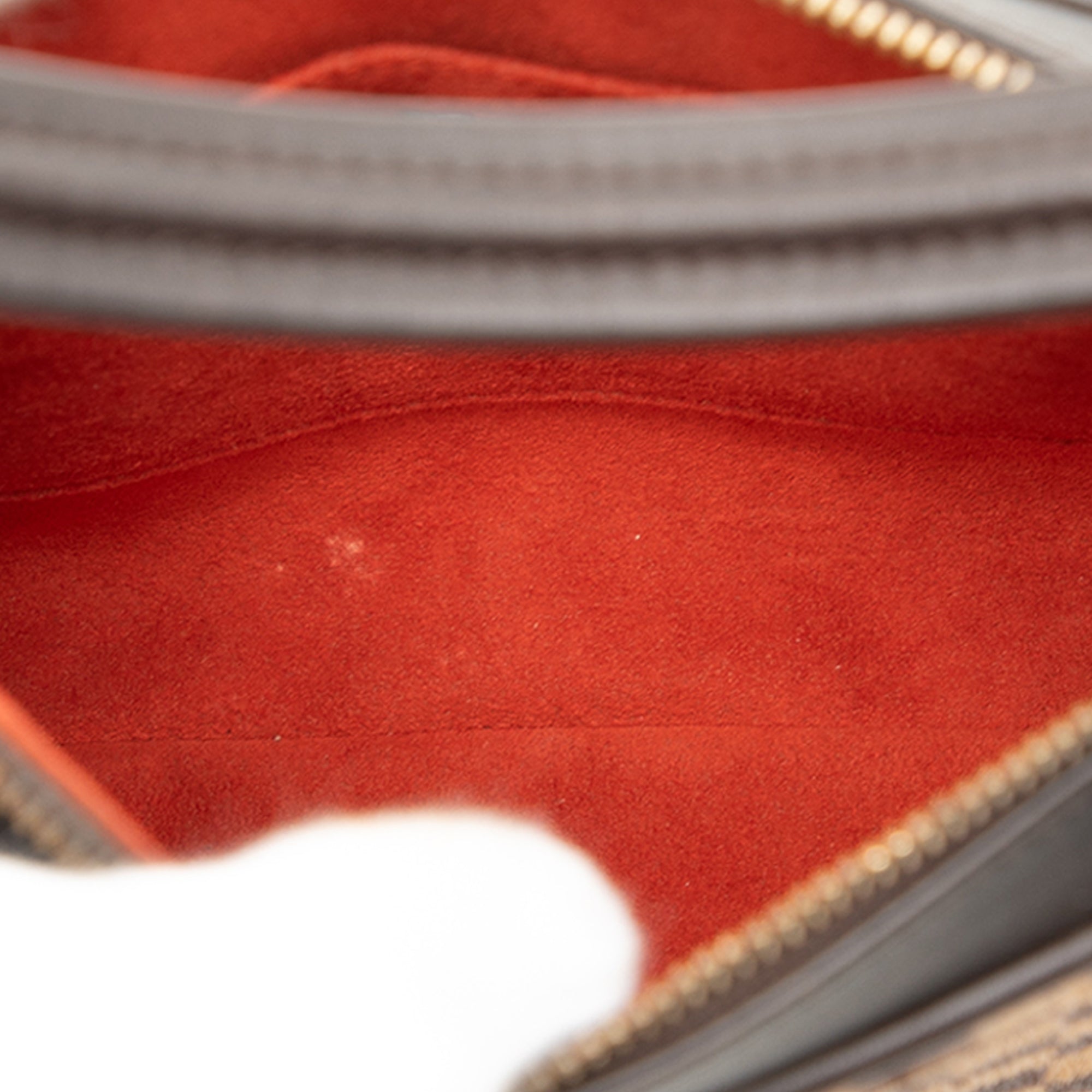 Damier Sauvage Tigre - Image 4