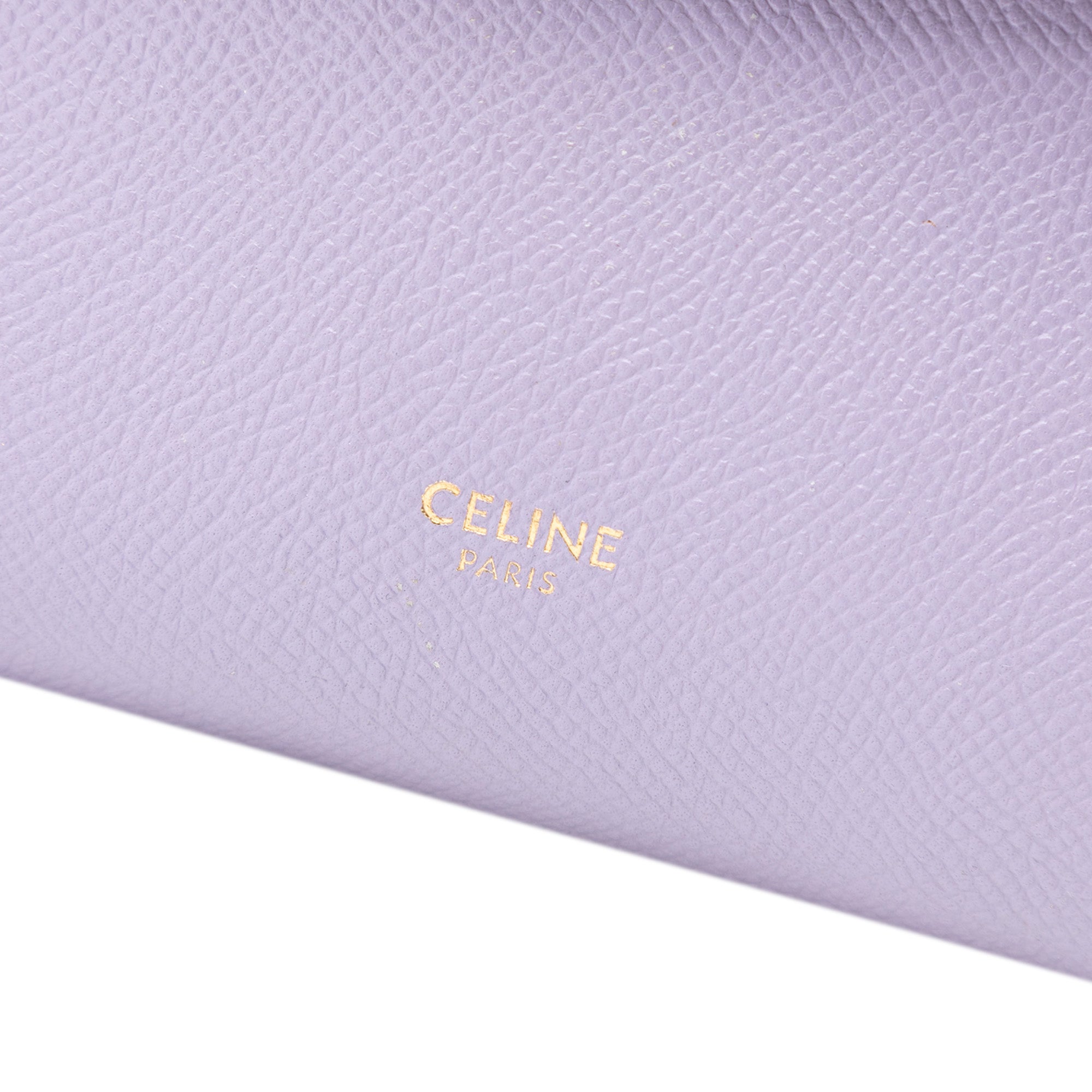 Pico Grained Calfskin Belt Bag - Image 6
