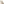         Logomania Canvas Crossbody - Image 11