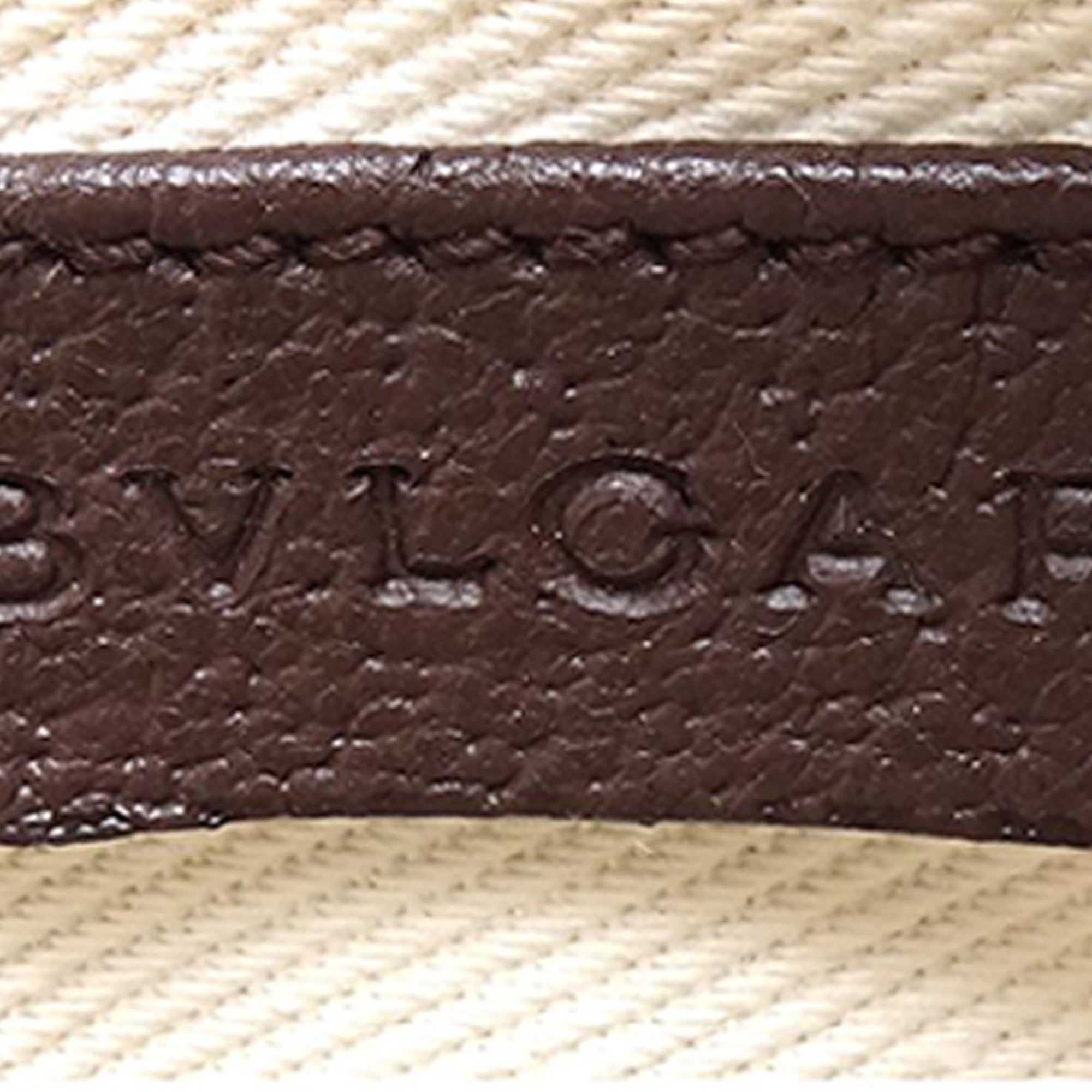 Logomania Canvas Crossbody - Image 6