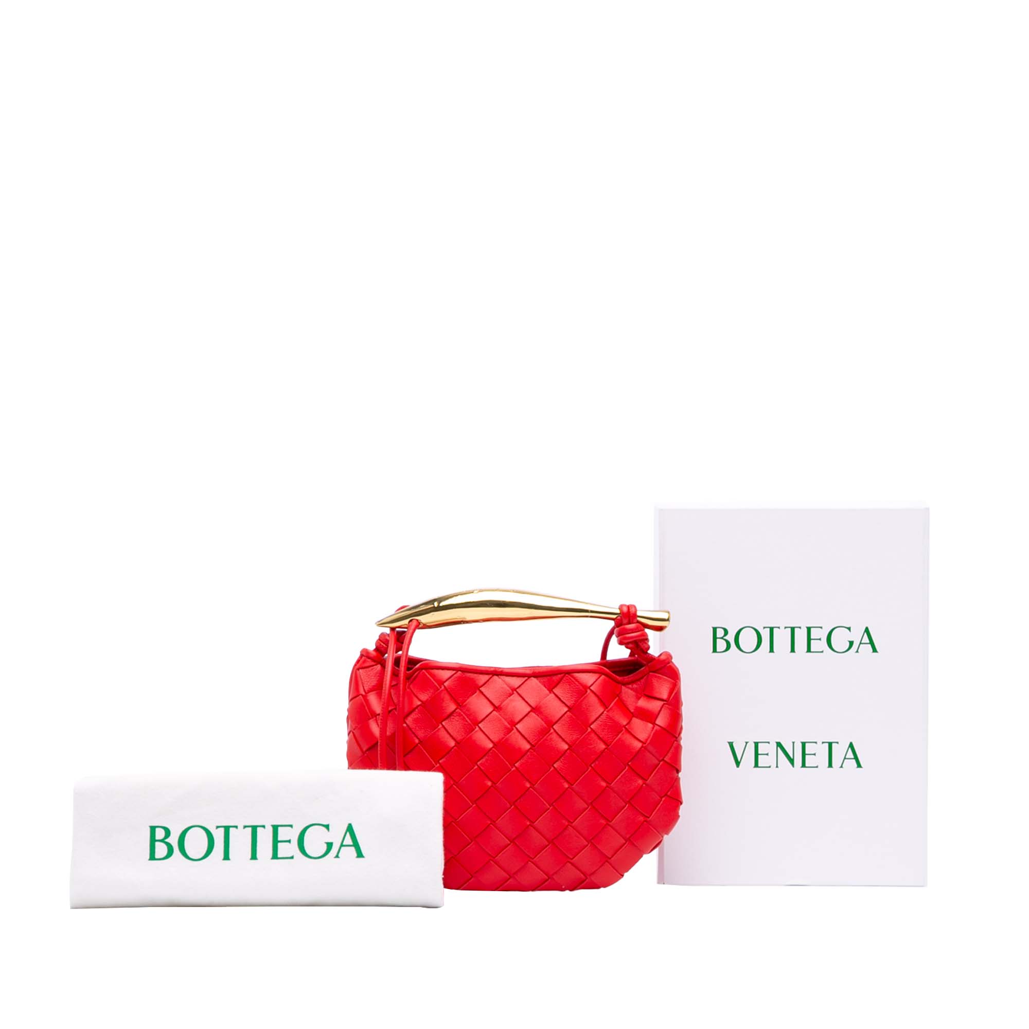 Baby Lambskin Intrecciato Sardine - Image 11