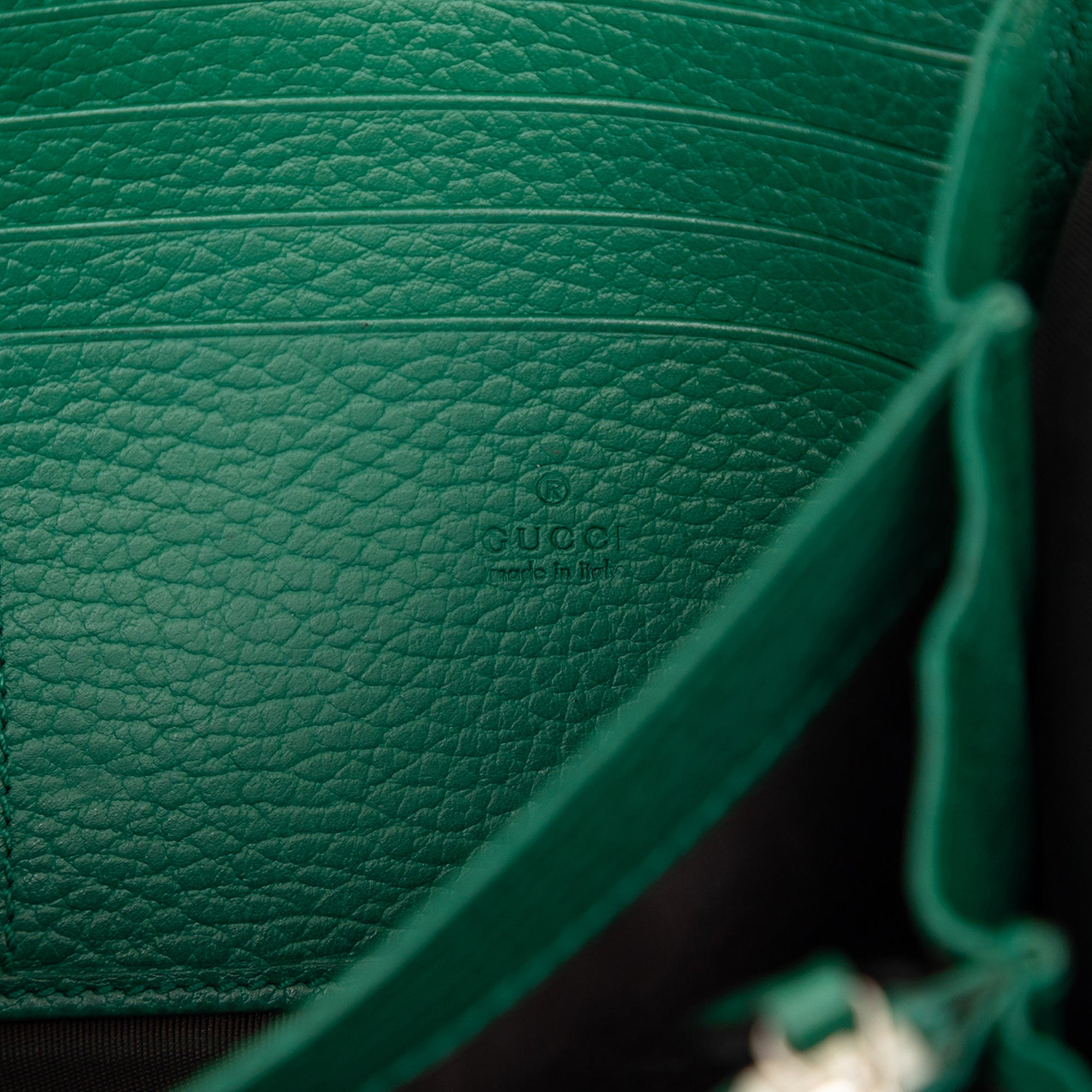 Calfskin Dionysus Wallet on Chain - Image 5