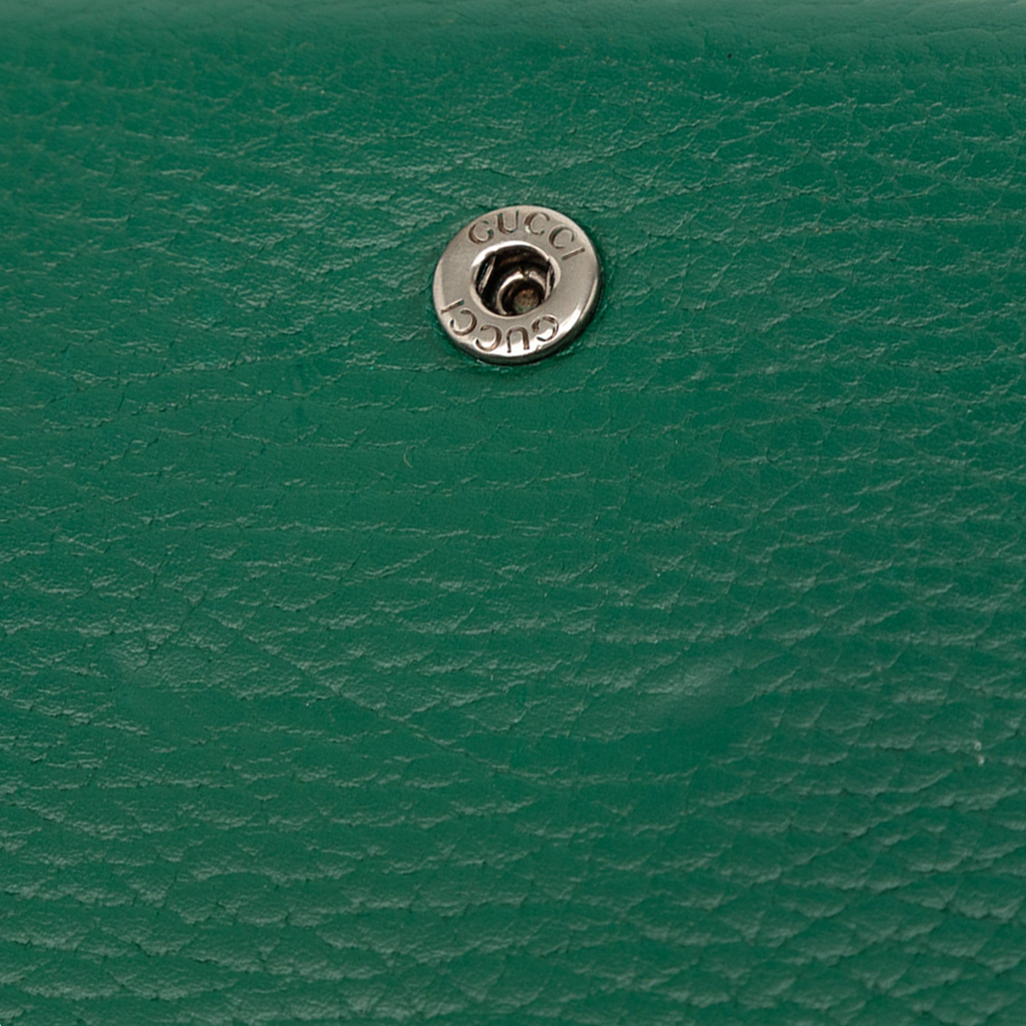 Calfskin Dionysus Wallet on Chain - Image 8